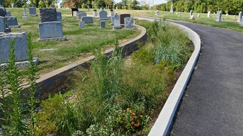 马里兰公墓的绿色基础设施照片，有助于防止雨水径流污染附近水域。