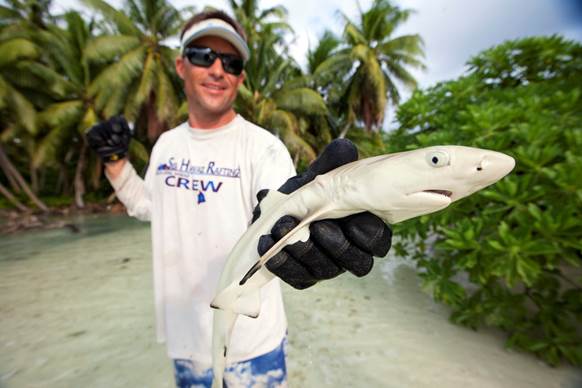 man holding a shark toward the camera