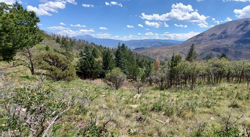 A landscape of Silver Mountain Ranch in Colorado. 