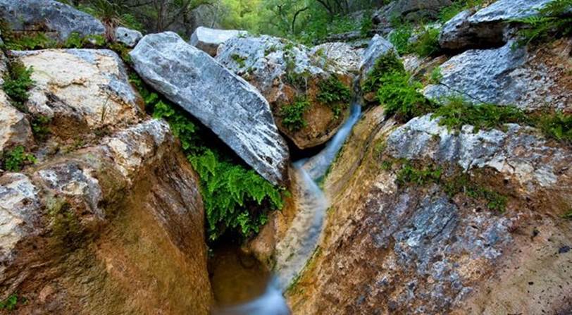 Photo of a small stream spilling over rocks at Love Creek in Texas.