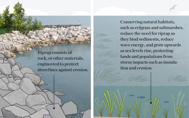  Graphic explaining riprap.