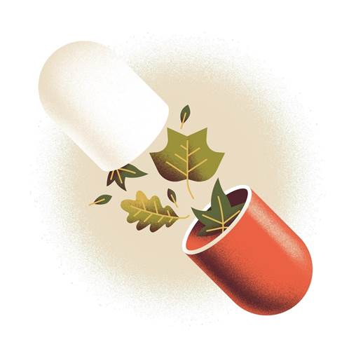 An illustration of nature as medicine.