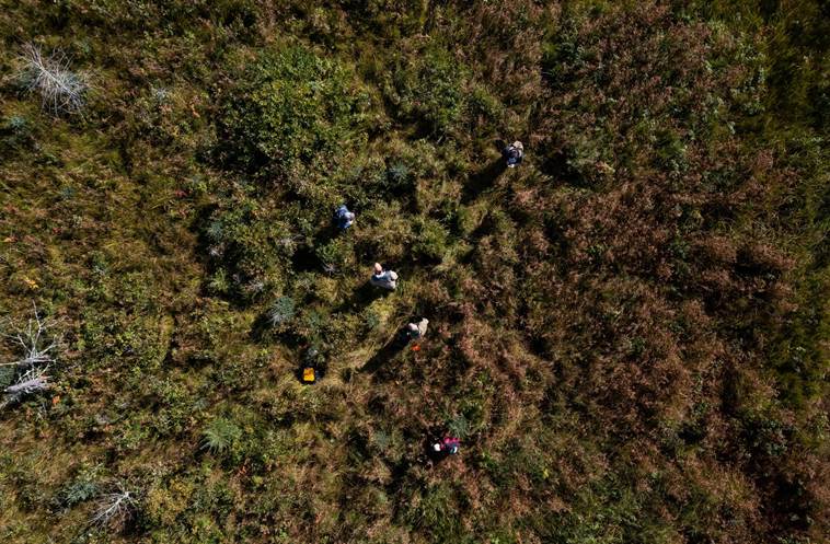 树林前的草地上
AI 生成的内容可能不正确。