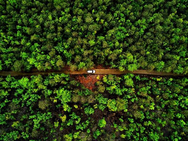 Aerial view of a forest with a red dirt road running through it. A whit car it parked on the road in the center of the image.