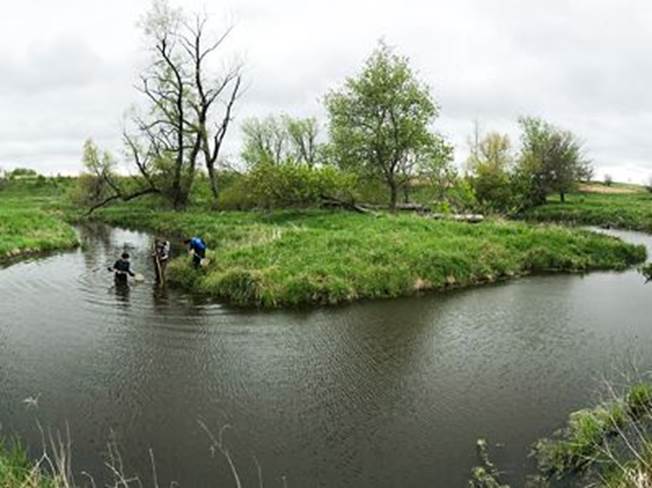 Calm water in an oxbow with grassy banks and a tree in the mid-distance.