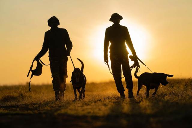 Two security guards hold dogs on leashes as they patrol with the sun setting behind them.